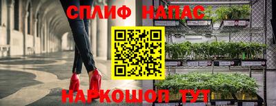 индика Комсомольск-на-Амуре
