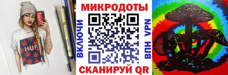 Псилоцибиновые грибы Psilocybine cubensis  Знаменск 